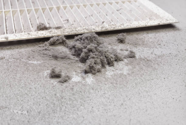 Best Ductwork Cleaning Services  in Cross City, FL