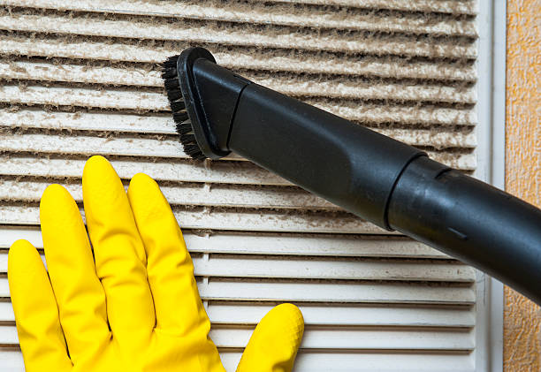 Best Home Air Vent Cleaning  in Cross City, FL